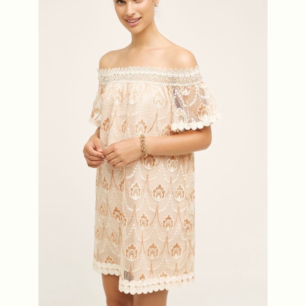 Avellanas Swing Dress HD in Paris Anthro